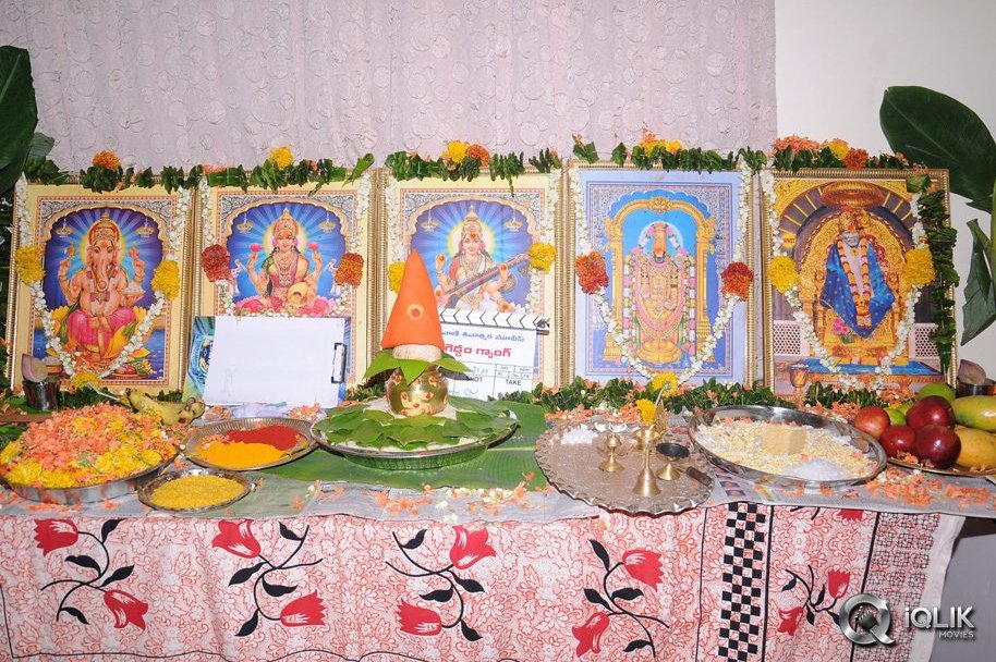 Gaddam-Gang-Movie-Opening